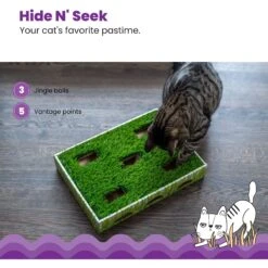 Catstages Grass Patch Hunting Box Cat Scratcher Toy -Cat Supplies 148104 PT3. AC SS1800 V1631683023