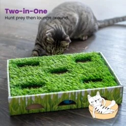 Catstages Grass Patch Hunting Box Cat Scratcher Toy -Cat Supplies 148104 PT5. AC SS1800 V1631689013