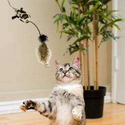 Pet Zone Tiger Teaser Wand Cat Toy With Catnip, Color Varies -Cat Supplies 152692 PT5. AC SS1800 V1647915454