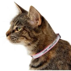 GoTags Nylon Personalized Reflective Breakaway Cat Collar With Bell -Cat Supplies 152990 PT2. AC SS1800 V1548441472