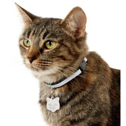Frisco Stainless Steel Personalized Cat ID Tag, Cat 7 Frisco Stainless Steel Personalized Cat ID Tag, Cat -Cat Supplies 153043 PT5. AC SS1800 V1540560131