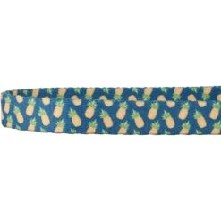 Frisco Pineapple Polyester Breakaway Cat Collar With Bell -Cat Supplies 153158 PT3. AC SS1800 V1568380088