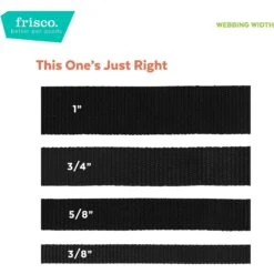 Frisco Pineapple Polyester Breakaway Cat Collar With Bell -Cat Supplies 153158 PT6. AC SS1800 V1629992814