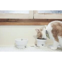 Necoichi Ceramic Elevated Cat Food & Water Bowl Set -Cat Supplies 154902 PT2. AC SS1800 V1542038820