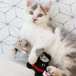 Mad Cat Ninja & Throwing Star Catnip & Silvervine Cat Toy -Cat Supplies 157314 PT3. AC SS1800 V1634833906