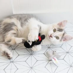 Mad Cat Ninja & Throwing Star Catnip & Silvervine Cat Toy -Cat Supplies 157314 PT4. AC SS1800 V1634833930