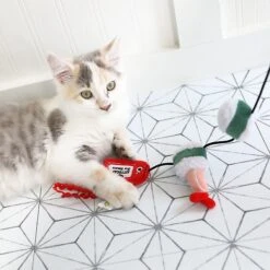 Mad Cat Sushi Swiper Wand Cat Toy 7 Mad Cat Sushi Swiper Wand Cat Toy -Cat Supplies 157316 PT4. AC SS1800 V1634833978