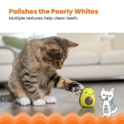Catstages Lil' Avocato Cat Toy With Catnip -Cat Supplies 158555 PT3. AC SS1800 V1636514548