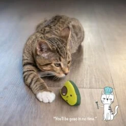 Catstages Lil' Avocato Cat Toy With Catnip -Cat Supplies 158555 PT5. AC SS1800 V1636513980