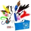 Pet Fit For Life Interactive Wand Teaser, Toys & Storage Bag 8 Piece Bundle Cat Toy