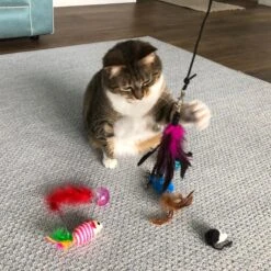 Pet Fit For Life Interactive Wand Teaser, Toys & Storage Bag 8 Piece Bundle Cat Toy -Cat Supplies 159022 PT2. AC SS1800 V1589320995