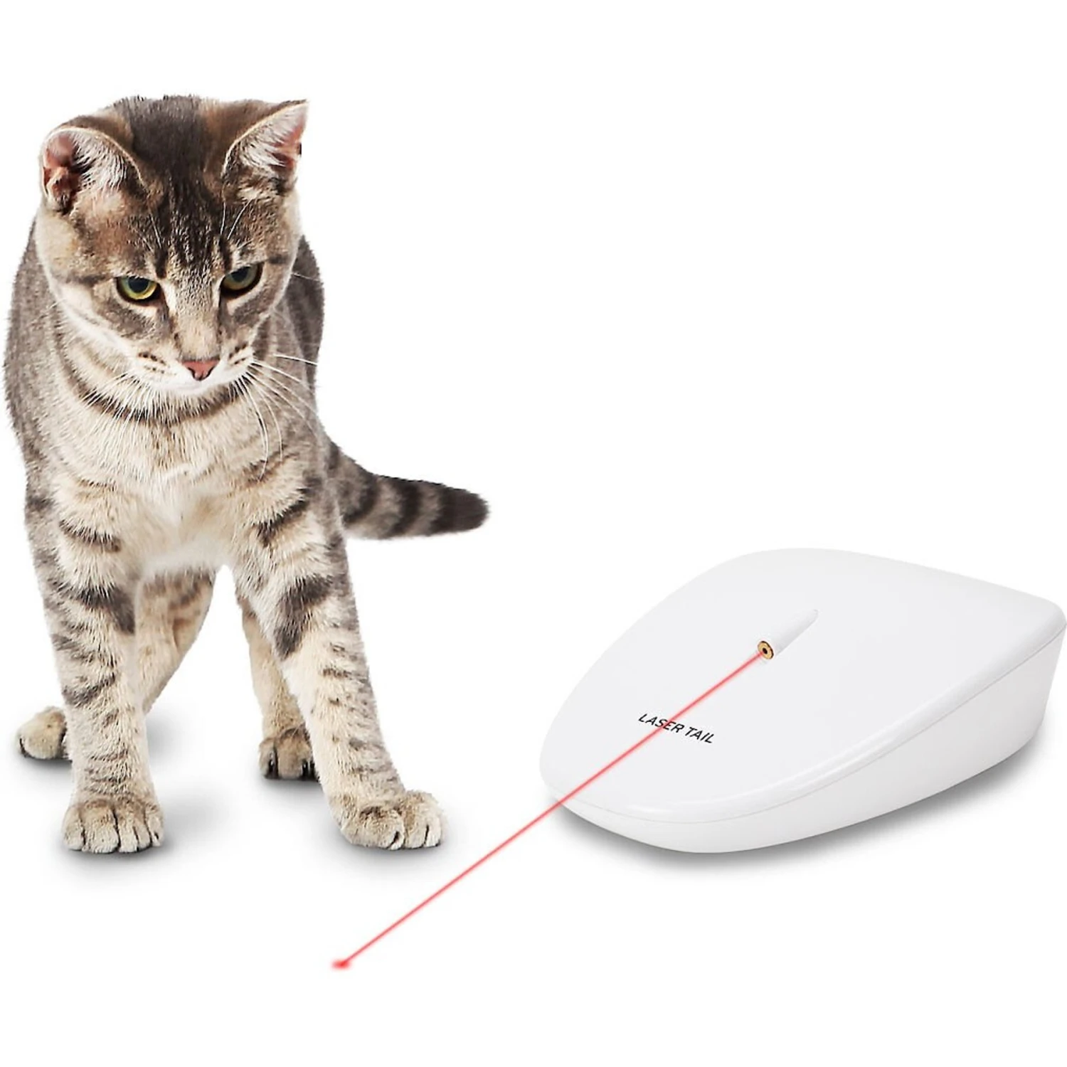 PetSafe Laser Tail Laser Cat Toy 3 PetSafe Laser Tail Laser Cat Toy - Image 3