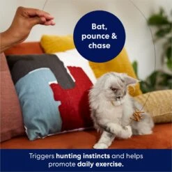 Frisco Cardboard & Wire Teaser Cat Toy -Cat Supplies 161194 PT3. AC SS1800 V1686579092