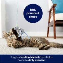 Frisco Bouncy Mouse Plush Teaser Cat Toy With Catnip -Cat Supplies 161259 PT5. AC SS1800 V1686580155