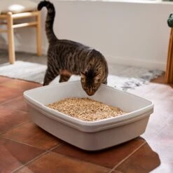 Frisco Pine Pellet Unscented Non-Clumping Wood Cat Litter -Cat Supplies 161458 PT4. AC SS1800 V1659023182