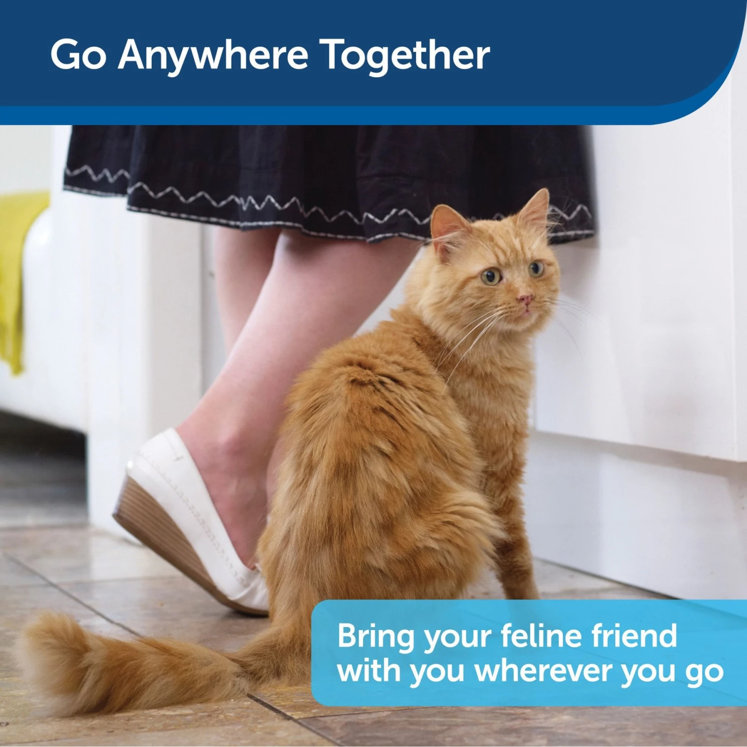 PetSafe Disposable Collapsible Litter Box With ScoopFree Crystal Litter 6 PetSafe Disposable Collapsible Litter Box With ScoopFree Crystal Litter - Image 6