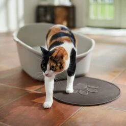 Frisco Shaped Cat Litter Mat -Cat Supplies 166306 PT3. AC SS1800 V1675279990