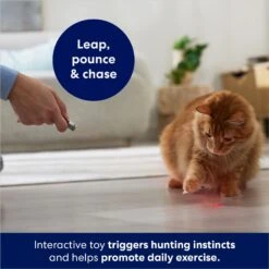 Frisco 2-in-1 Laser & LED Light Laser Cat Toy -Cat Supplies 166309 PT3. AC SS1800 V1686579688