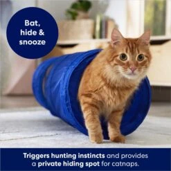 Frisco Foldable Play Tunnel With Mesh Cat Toy -Cat Supplies 166385 PT2. AC SS1800 V1686580143