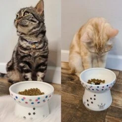 Necoichi Raised Cat Food Bowl, Colorful Dots -Cat Supplies 169388 PT4. AC SS1800 V1649354641