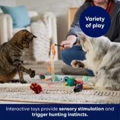 Frisco Plush, Teaser & Ball Variety Pack Cat Toy With Catnip -Cat Supplies 169686 PT5. AC SS1800 V1691783971