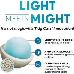 Tidy Cats Lightweight Instant Action Scented Clumping Clay Cat Litter -Cat Supplies 172469 PT4. AC SS1800 V1695932478
