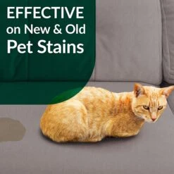 Simple Green Cat Stain & Odor Remover -Cat Supplies 172629 PT6. AC SS1800 V1556823121