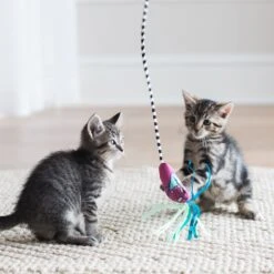 Fat Cat Catfisher Teasers Worm Wand Cat Toy -Cat Supplies 174927 PT2. AC SS1800 V1602290771