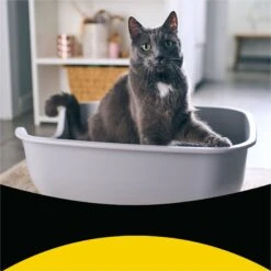 Tidy Max Lightweight Glade Clear Springs Scented Lightweight Clay Cat Litter -Cat Supplies 175483 PT2. AC SS1800 V1695847298