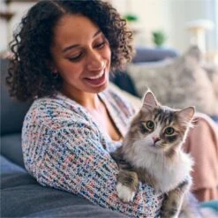 Tidy Max Lightweight Glade Clear Springs Scented Lightweight Clay Cat Litter -Cat Supplies 175483 PT3. AC SS1800 V1695847304