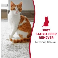 Nature's Miracle Cat Enzymatic Stain Remover & Odor Eliminator Refill, 1-gal Bottle 16 Nature's Miracle Cat Enzymatic Stain Remover & Odor Eliminator Refill, 1-gal Bottle -Cat Supplies 178085 PT7. AC SS1800 V1701116413
