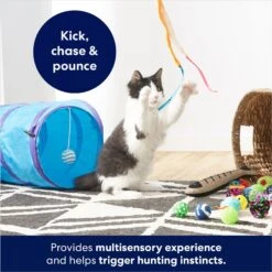 Frisco Plush, Teaser, Ball & Tri-Tunnel Variety Pack Cat Toy With Catnip, 20 Count -Cat Supplies 178161 PT3. AC SS1800 V1678723898