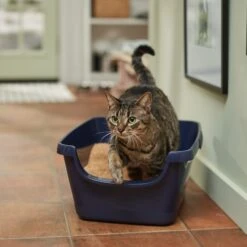 Vetbasis Herbal Lavender Scented Clumping Corn Cat Litter 8 Vetbasis Herbal Lavender Scented Clumping Corn Cat Litter -Cat Supplies 178316 PT3. AC SS1800 V1680789622