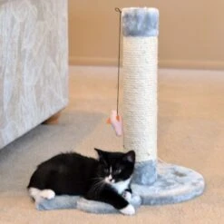 Armarkat 19-in Sisal Cat Scratching Post With Toy -Cat Supplies 179081 PT2. AC SS1800 V1678228287