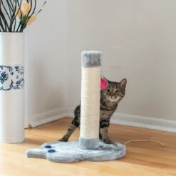 Armarkat 19-in Sisal Cat Scratching Post With Toy -Cat Supplies 179081 PT5. AC SS1800 V1678285921