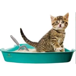 SunGrow Non-Stick Metal Scoop Kitty Box Cat Litter Scooper -Cat Supplies 179562 PT2. AC SS1800 V1561406825