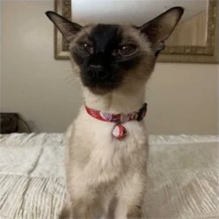 Necoichi Origami Balloon Cotton Breakaway Cat Collar With Bell -Cat Supplies 183493 PT6. AC SS1800 V1565879877