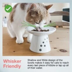 Necoichi Extra Wide Ceramic Elevated Cat Food Bowl, 2-cup -Cat Supplies 183502 PT2. AC SS1800 V1698867551