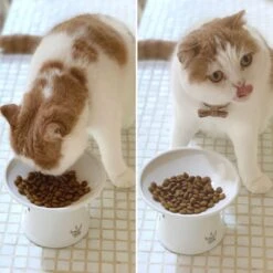 Necoichi Extra Wide Ceramic Elevated Cat Food Bowl, 2-cup -Cat Supplies 183502 PT8. AC SS1800 V1698854460