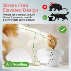 Necoichi Ceramic Elevated Cat Water Bowl -Cat Supplies 183505 PT3. AC SS1800 V1627495876