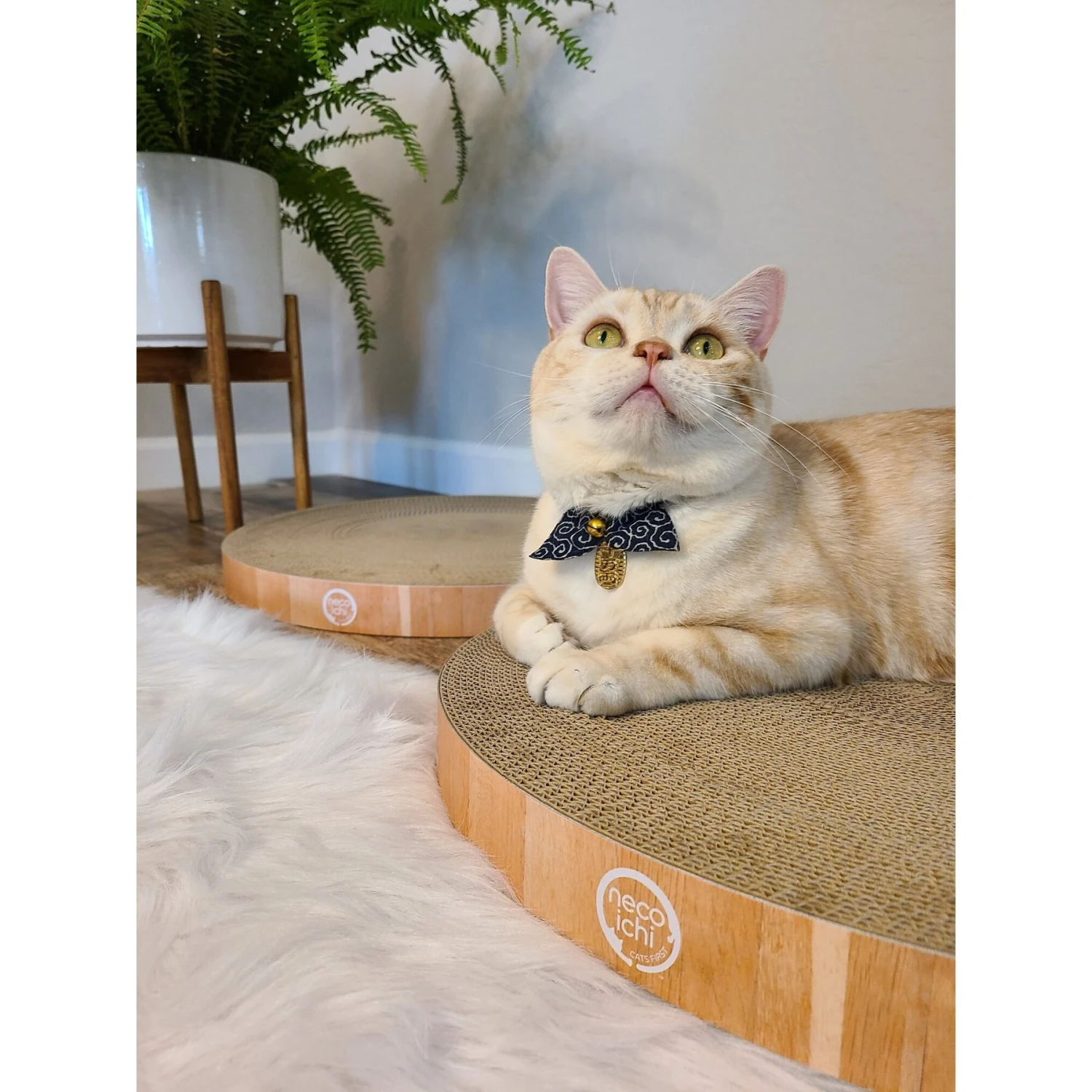 Necoichi Cozy Cat Scratcher Bowl Replacement Pad 6 Necoichi Cozy Cat Scratcher Bowl Replacement Pad - Image 6