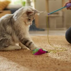 Ethical Pet Dolphin Laser Wand Cat Toy, Color Varies 5 Ethical Pet Dolphin Laser Wand Cat Toy, Color Varies -Cat Supplies 189214 PT3. AC SS1800 V1686945794