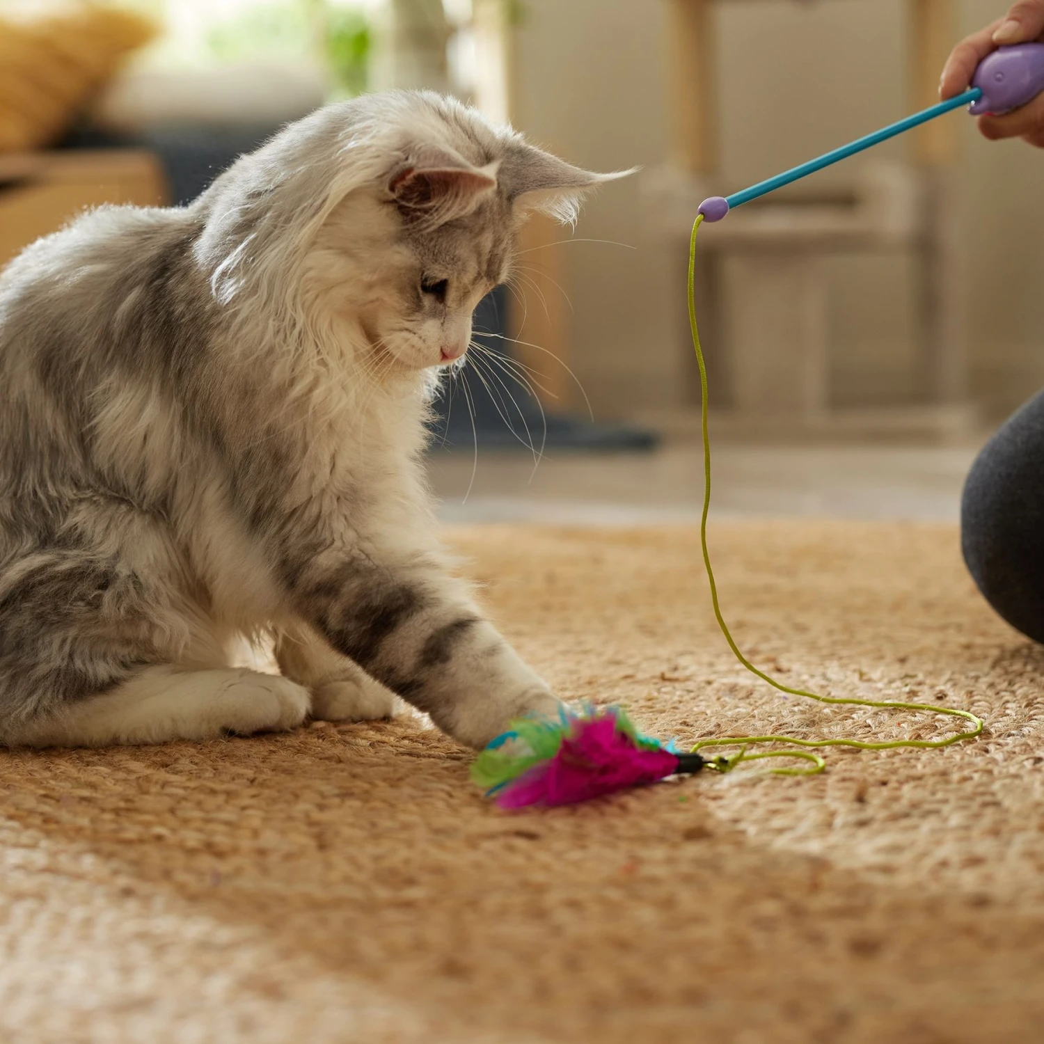 Ethical Pet Dolphin Laser Wand Cat Toy, Color Varies 3 Ethical Pet Dolphin Laser Wand Cat Toy, Color Varies - Image 3