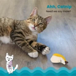 Catstages Dental Banana Cat Chew Toy With Catnip -Cat Supplies 190721 PT2. AC SS1800 V1631682722