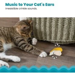 Catstages Dental Banana Cat Chew Toy With Catnip -Cat Supplies 190721 PT3. AC SS1800 V1631688674