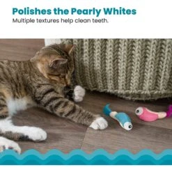 Catstages Dental Shrimpies Cat Chew Toy With Catnip, 2 Count -Cat Supplies 190723 PT3. AC SS1800 V1636500155