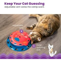 Catstages Chase Track Cat Toy With Catnip -Cat Supplies 190739 PT3. AC SS1800 V1631687240