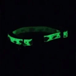 Safe Cat Glow In The Dark Adjustable Breakaway Cat Collar -Cat Supplies 202117 PT1. AC SS1800 V1569349036