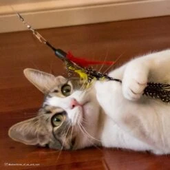 Turbo Flying Teaser Cat Toy -Cat Supplies 202228 PT4. AC SS1800 V1678112543