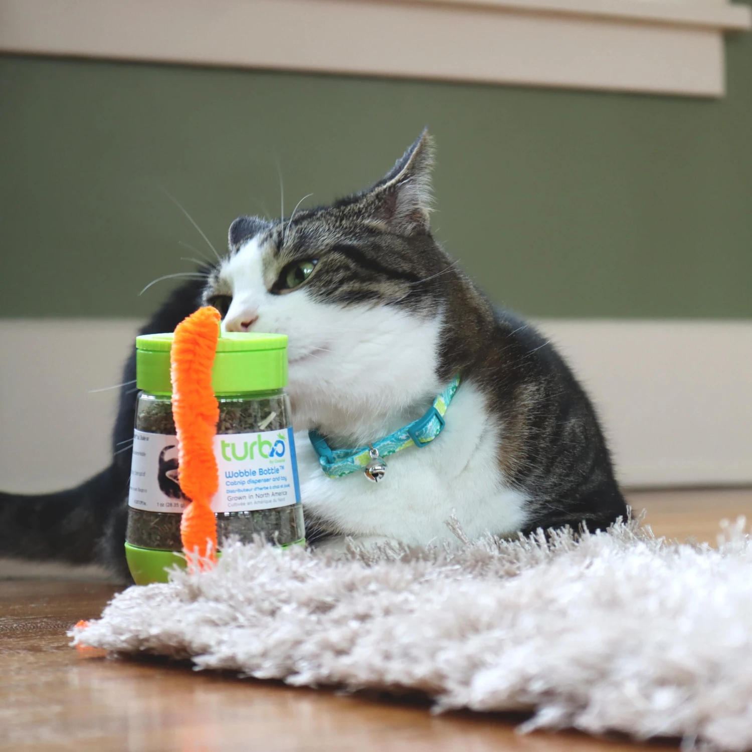 Turbo Wobble Bottle Cat Toy With Catnip 3 Turbo Wobble Bottle Cat Toy With Catnip - Image 3